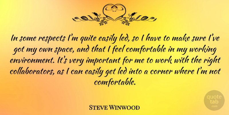 Steve Winwood Quote About Corner, Easily, Led, Quite, Respects: In Some Respects Im Quite...