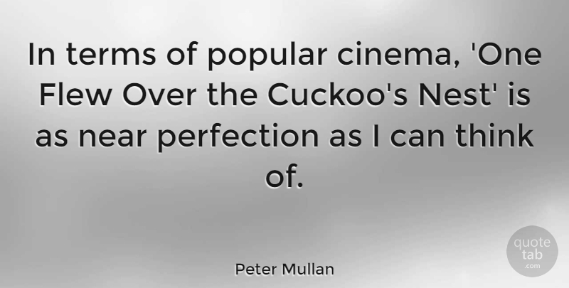 Peter Mullan Quote About Thinking, Perfection, Cinema: In Terms Of Popular Cinema...