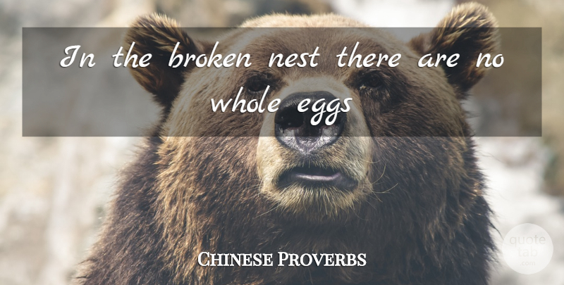 Chinese Proverbs Quote About Broken, Eggs, Nest: In The Broken Nest There...