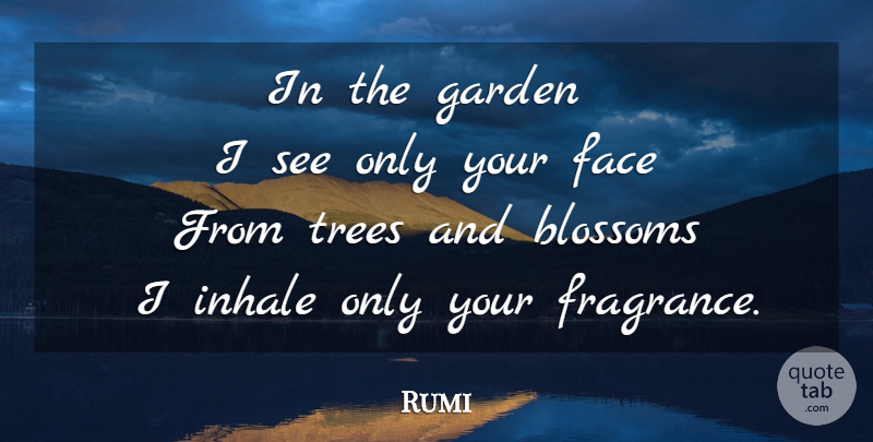 Rumi Quote About Garden, Tree, Faces: In The Garden I See...