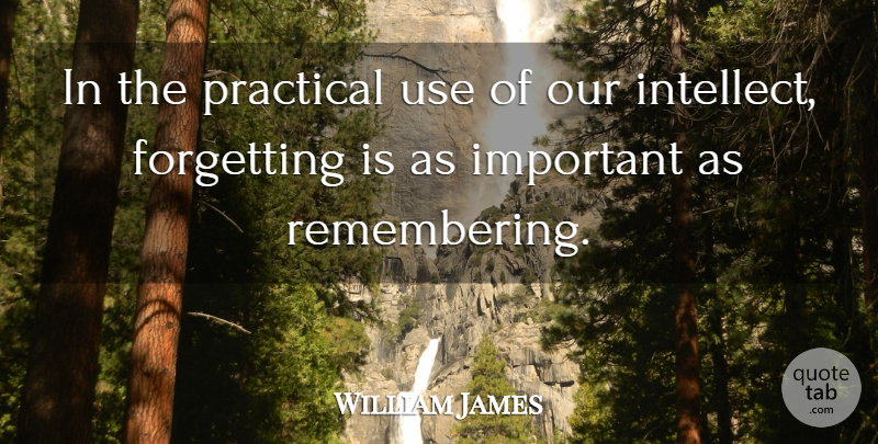 William James Quote About Education, Teacher, Important: In The Practical Use Of...