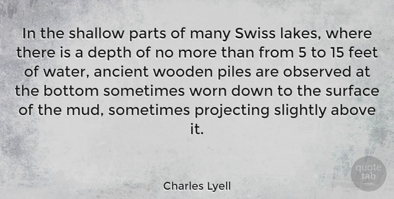 Charles Lyell Quote About Feet, Lakes, Water: In The Shallow Parts Of...