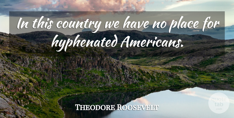 Theodore Roosevelt Quote About Country, Diversity: In This Country We Have...