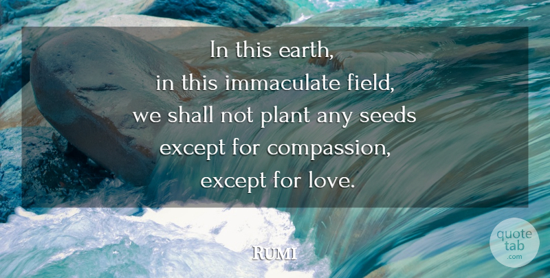 Rumi Quote About Compassion, Earth, Fields: In This Earth In This...
