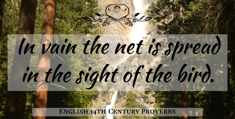 English 14th Century Proverbs Quote About Net, Proverbs, Sight, Spread, Vain: In Vain The Net Is...