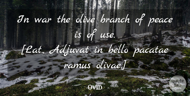 Ovid Quote About War, Olive Branches, Olives: In War The Olive Branch...