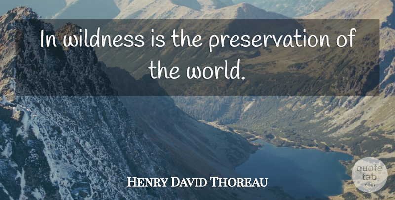 Henry David Thoreau Quote About Camping, World, Transcendentalism: In Wildness Is The Preservation...