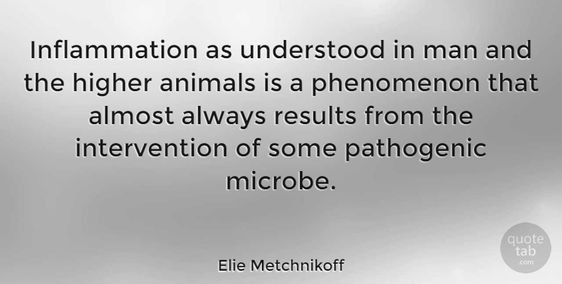 Elie Metchnikoff Quote About Higher, Man, Phenomenon, Understood: Inflammation As Understood In Man...