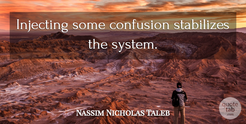 Nassim Nicholas Taleb Quote About Confusion: Injecting Some Confusion Stabilizes The...