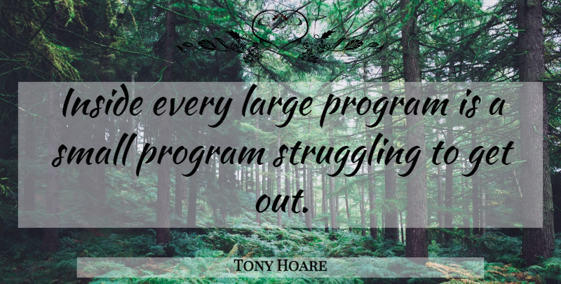 Tony Hoare Quote About Struggle, Simplicity, Program: Inside Every Large Program Is...