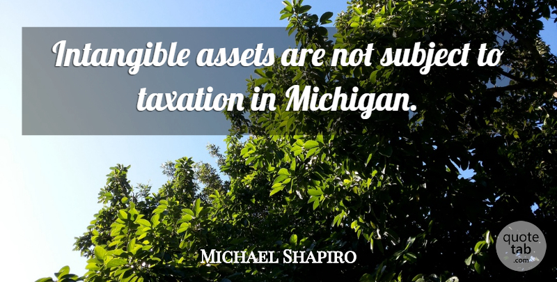Michael Shapiro Quote About Assets, Intangible, Subject, Taxation: Intangible Assets Are Not Subject...