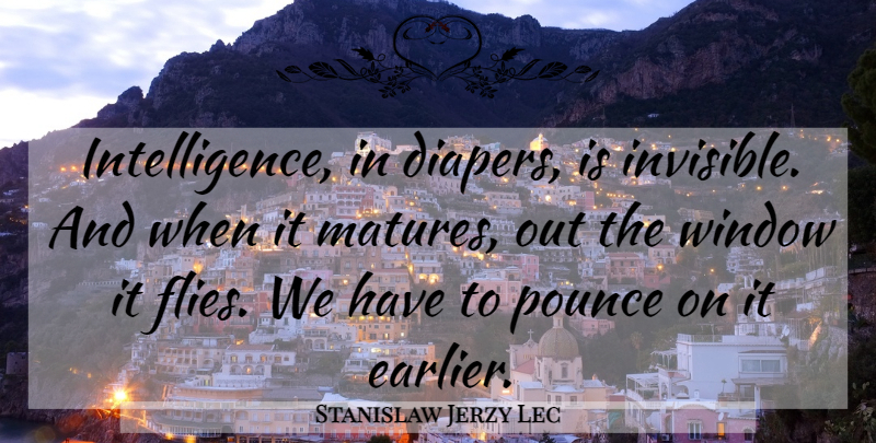 Stanislaw Jerzy Lec Quote About Intelligent, Diapers, Window: Intelligence In Diapers Is Invisible...