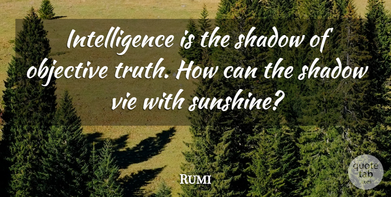 Rumi Quote About Wisdom, Islamic, Sunshine: Intelligence Is The Shadow Of...