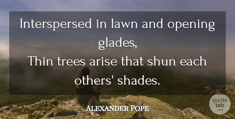 Alexander Pope Quote About Tree, Shade, Arise: Interspersed In Lawn And Opening...