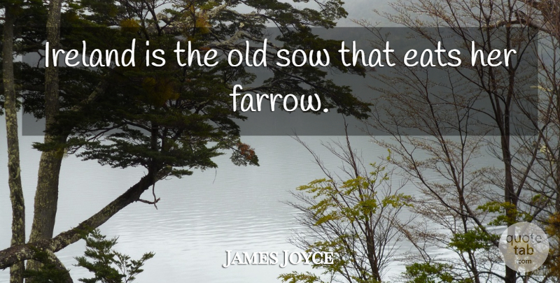 James Joyce Quote About Ireland: Ireland Is The Old Sow...