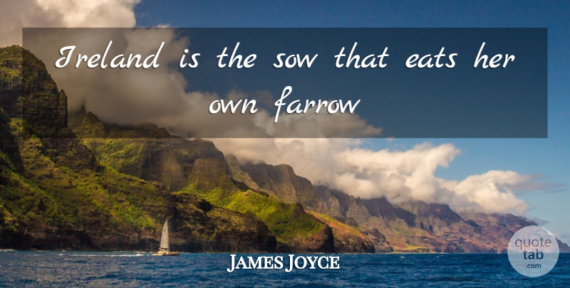 James Joyce Quote About Eats, Ireland, Sow: Ireland Is The Sow That...