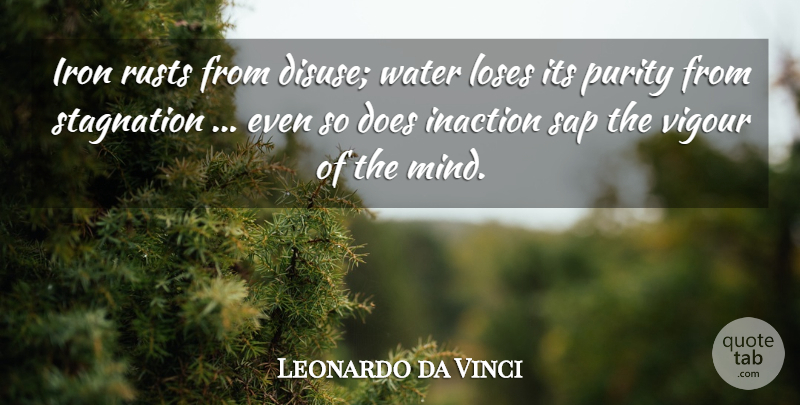 Leonardo da Vinci Quote About Action, Inaction, Iron, Loses, Purity: Iron Rusts From Disuse Water...