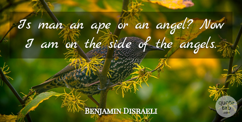 Benjamin Disraeli Quote About Angel, Men, Sides: Is Man An Ape Or...