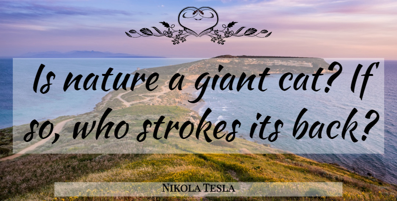 Nikola Tesla Quote About Cat, Giants, Strokes: Is Nature A Giant Cat...