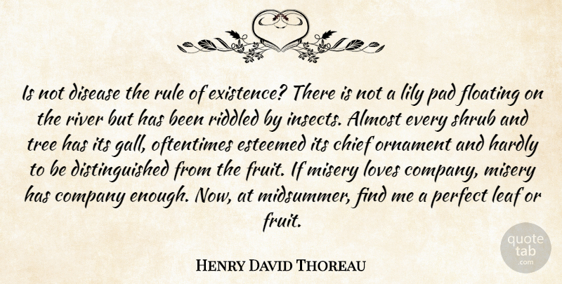 Henry David Thoreau Quote About Rivers, Perfect, Tree: Is Not Disease The Rule...