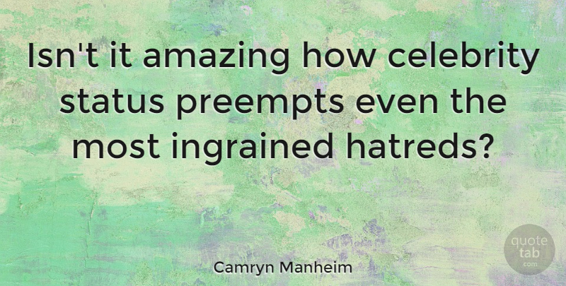 Camryn Manheim Quote About Hatred, Celebrity Status: Isnt It Amazing How Celebrity...