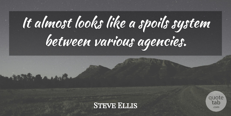 Steve Ellis Quote About Almost, Looks, Spoils, System, Various: It Almost Looks Like A...