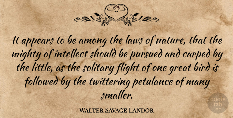 Walter Savage Landor Quote About Greatness, Law, Bird: It Appears To Be Among...