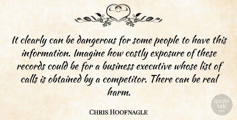 Chris Hoofnagle Quote About Business, Calls, Clearly, Dangerous, Executive: It Clearly Can Be Dangerous...