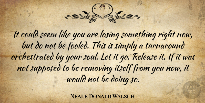 Neale Donald Walsch Quote About Soul, Let It Go, Losing: It Could Seem Like You...