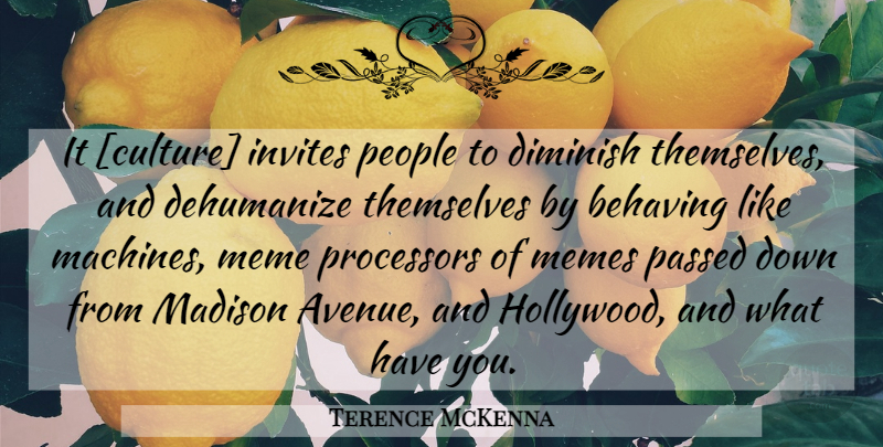 Terence McKenna Quote About People, Hollywood, Culture: It Culture Invites People To...