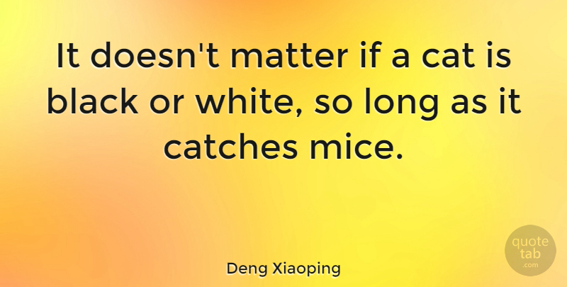Deng Xiaoping Quote About Cat, Animal, White: It Doesnt Matter If A...