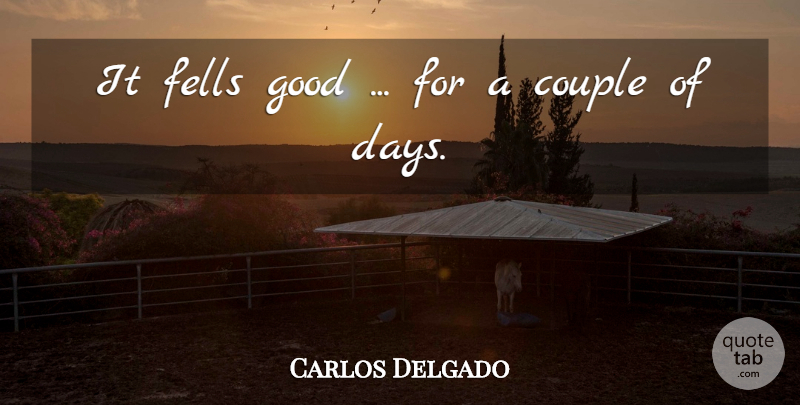 Carlos Delgado Quote About Couple, Good: It Fells Good For A...