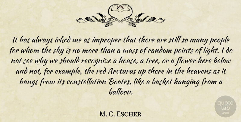 M. C. Escher Quote About Flower, Light, Sky: It Has Always Irked Me...