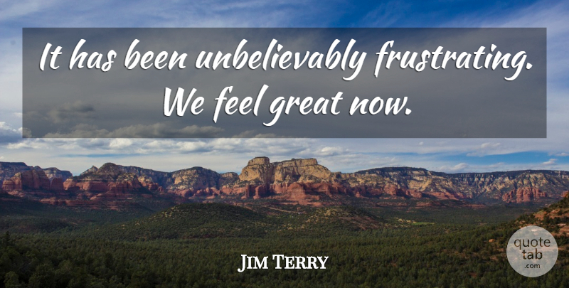 Jim Terry Quote About Great: It Has Been Unbelievably Frustrating...