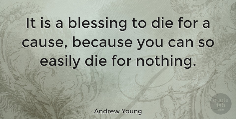 Andrew Young Quote About Blessing, African American, Causes: It Is A Blessing To...