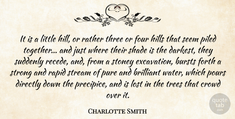 Charlotte Smith Quote About Brilliant, Bursts, Crowd, Directly, Forth: It Is A Little Hill...