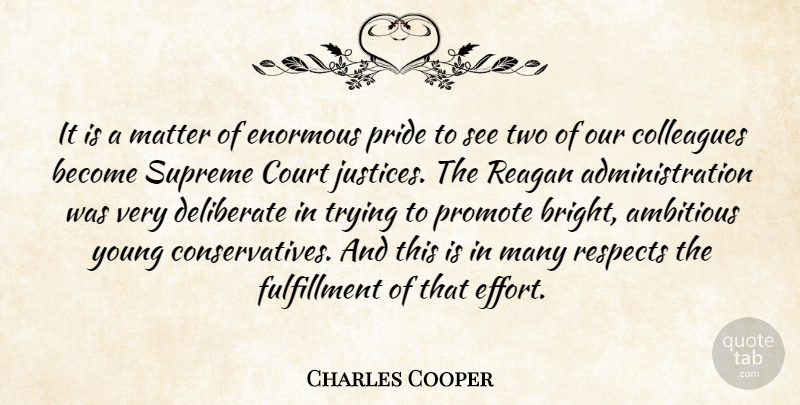 Charles Cooper Quote About Ambitious, Colleagues, Court, Deliberate, Enormous: It Is A Matter Of...