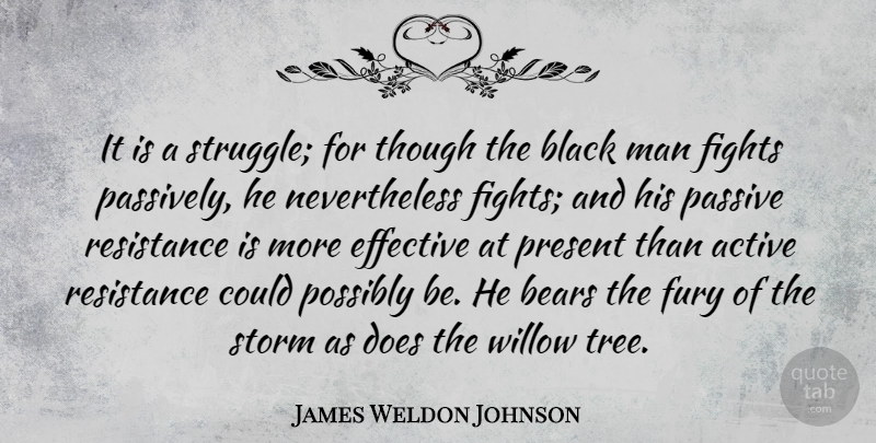 James Weldon Johnson Quote About Active, Bears, Effective, Fights, Fury: It Is A Struggle For...