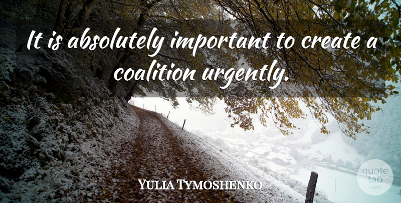 Yulia Tymoshenko Quote About Absolutely, Coalition, Create: It Is Absolutely Important To...