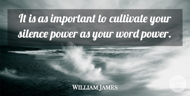 William James Quote About Silence, Important: It Is As Important To...