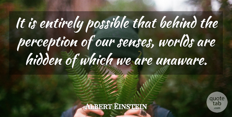 Albert Einstein Quote About Perception, World, Behinds: It Is Entirely Possible That...