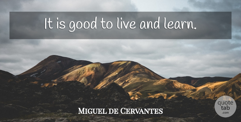 Miguel de Cervantes Quote About Life, Learning, Evil: It Is Good To Live...