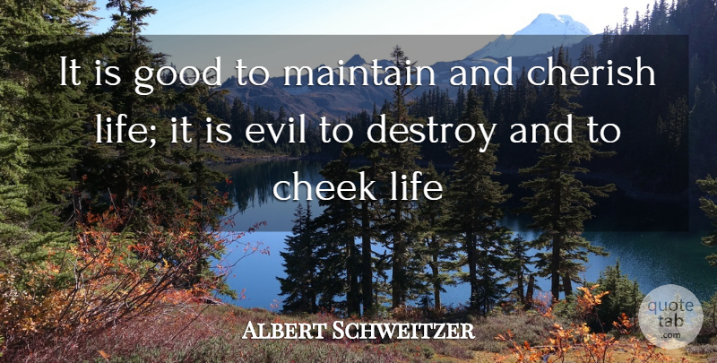 Albert Schweitzer Quote About Cheek, Cherish, Destroy, Evil, Good: It Is Good To Maintain...