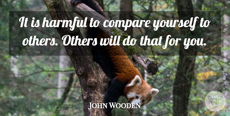 John Wooden Quote About Compare: It Is Harmful To Compare...