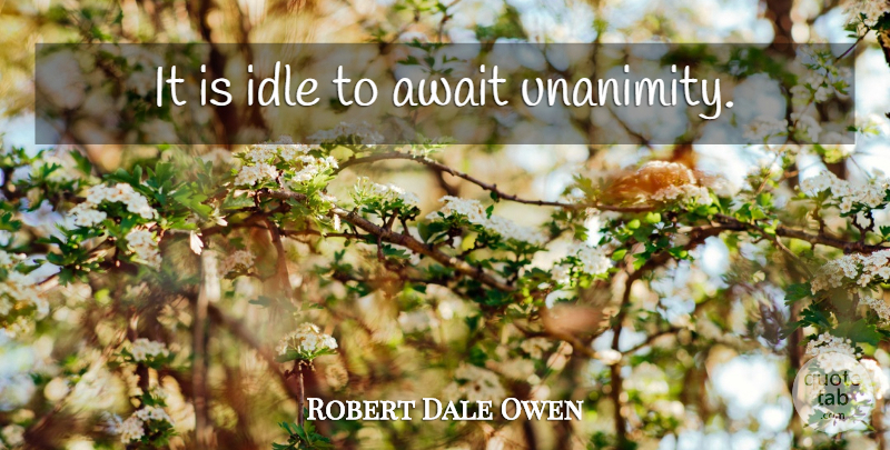 Robert Dale Owen Quote About Idle, Unanimity: It Is Idle To Await...