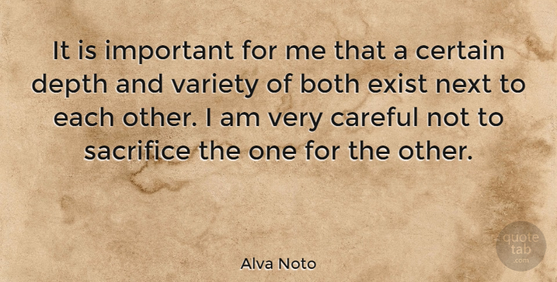 Alva Noto Quote About Both, Certain, Depth, Exist, Next: It Is Important For Me...