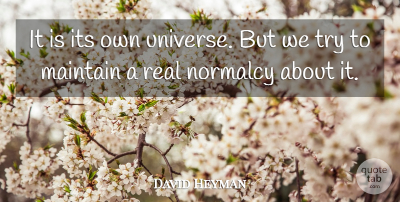 David Heyman Quote About Maintain, Normalcy: It Is Its Own Universe...