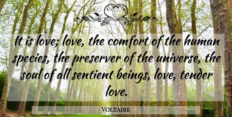 Voltaire Quote About Soul, Comfort, Candide: It Is Love Love The...