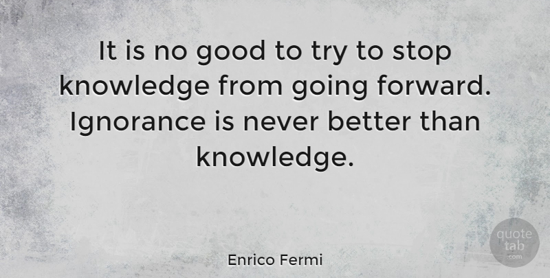 Enrico Fermi Quote About Good, Knowledge, Stop: It Is No Good To...