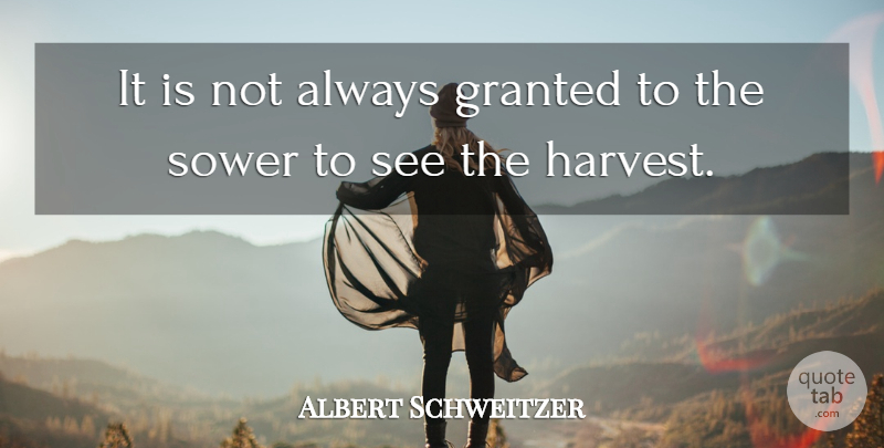 Albert Schweitzer Quote About Granted, Harvest: It Is Not Always Granted...